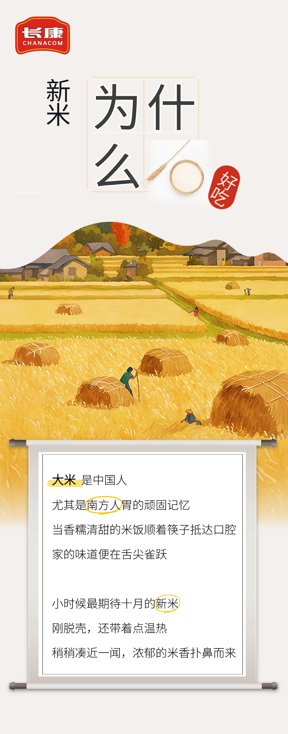 長康科普｜“稻”時(shí)候了！為什么說新米更好吃？